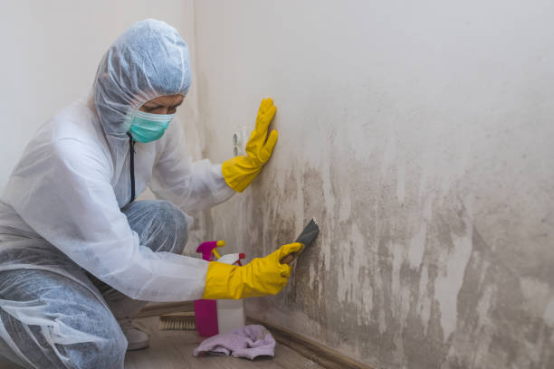 Best Mold Testing  in Roswell, GA