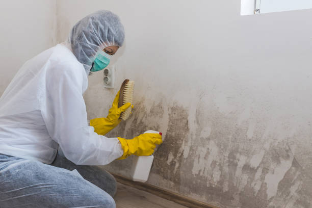 Best Mold Testing  in Roswell, GA