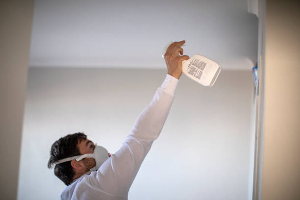 Best Mold Removal Company Near Me  in Roswell, GA