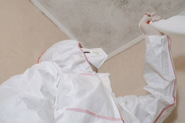 Best Mold Remediation Services  in Roswell, GA