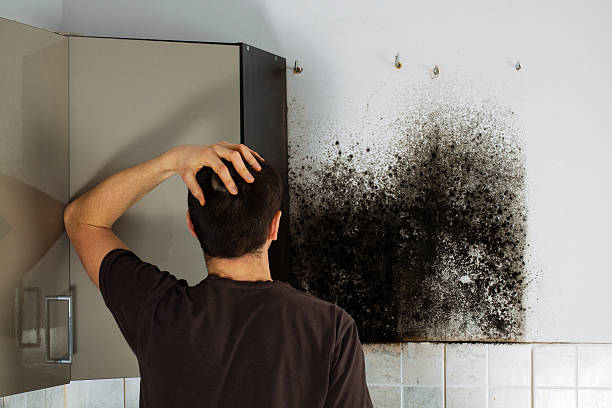 Best Home Mold Removal  in Roswell, GA